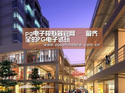 案例展示一(图1)