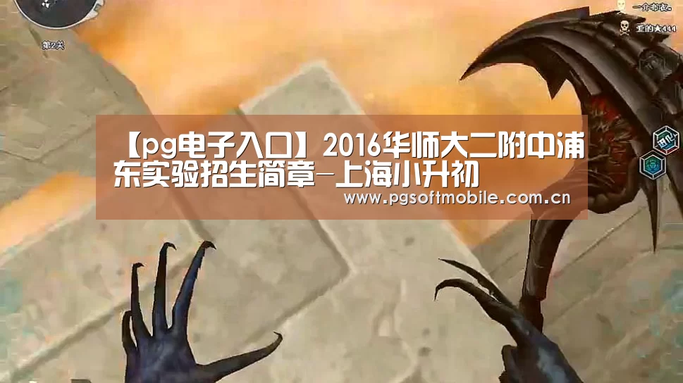【pg电子入口】2016华师大二附中浦东实验招生简章-上海小升初(图3) pg电子入口