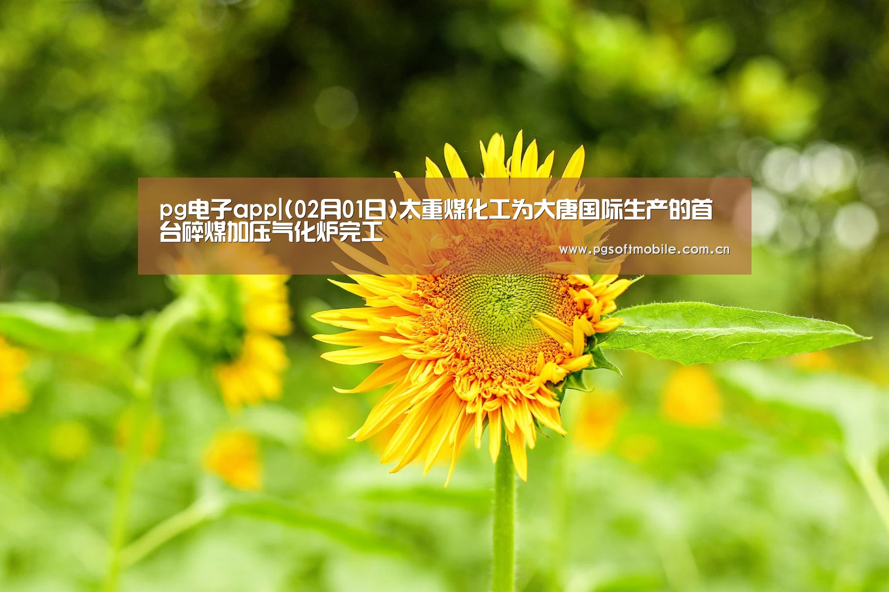 pg电子下载