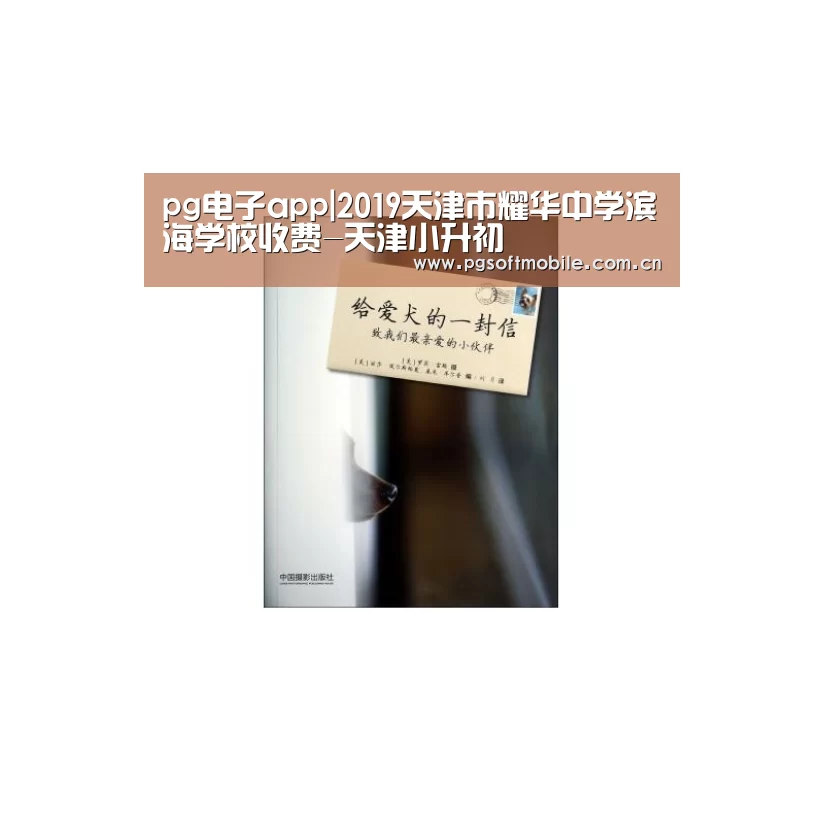 pg电子下载